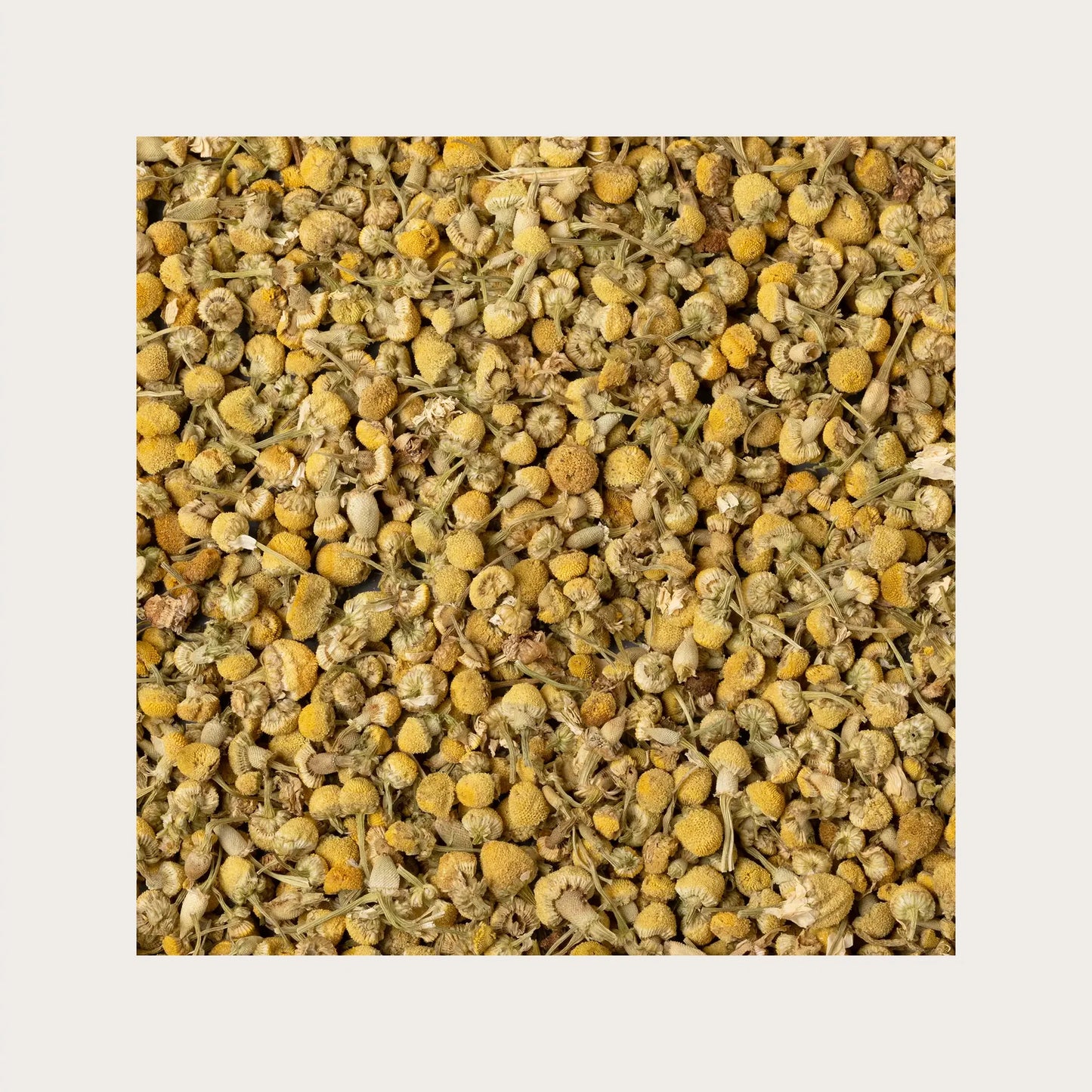 SOLIME' TISANA CAMOMILLA VOLGARE INFLUORESCENZE INTERE 100GR