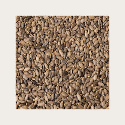 SOLIME' TISANA CARDO MARIANO FRUTTI SFUSI 100GR