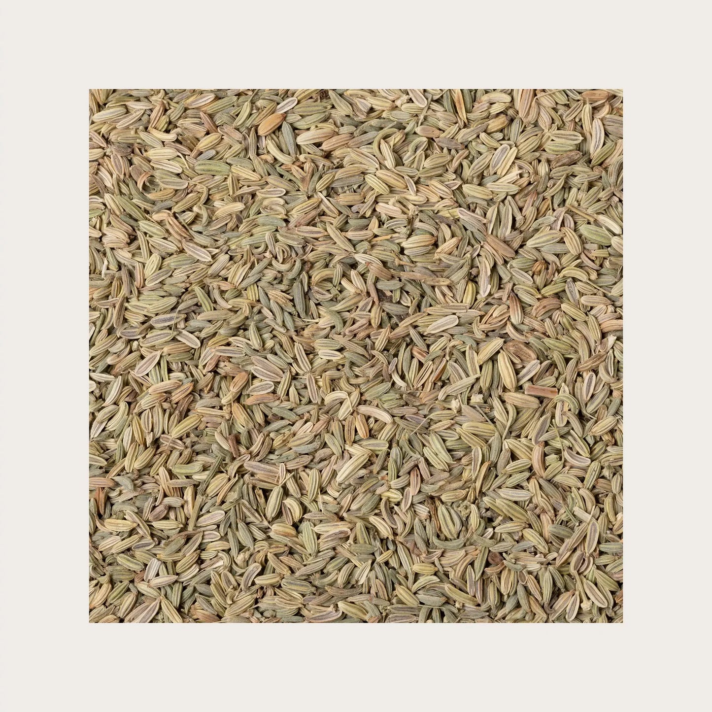 SOLIME' TISANA FINOCCHIO FRUTTI SFUSI 100GR