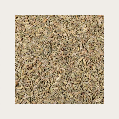SOLIME' TISANA FINOCCHIO FRUTTI SFUSI 100GR