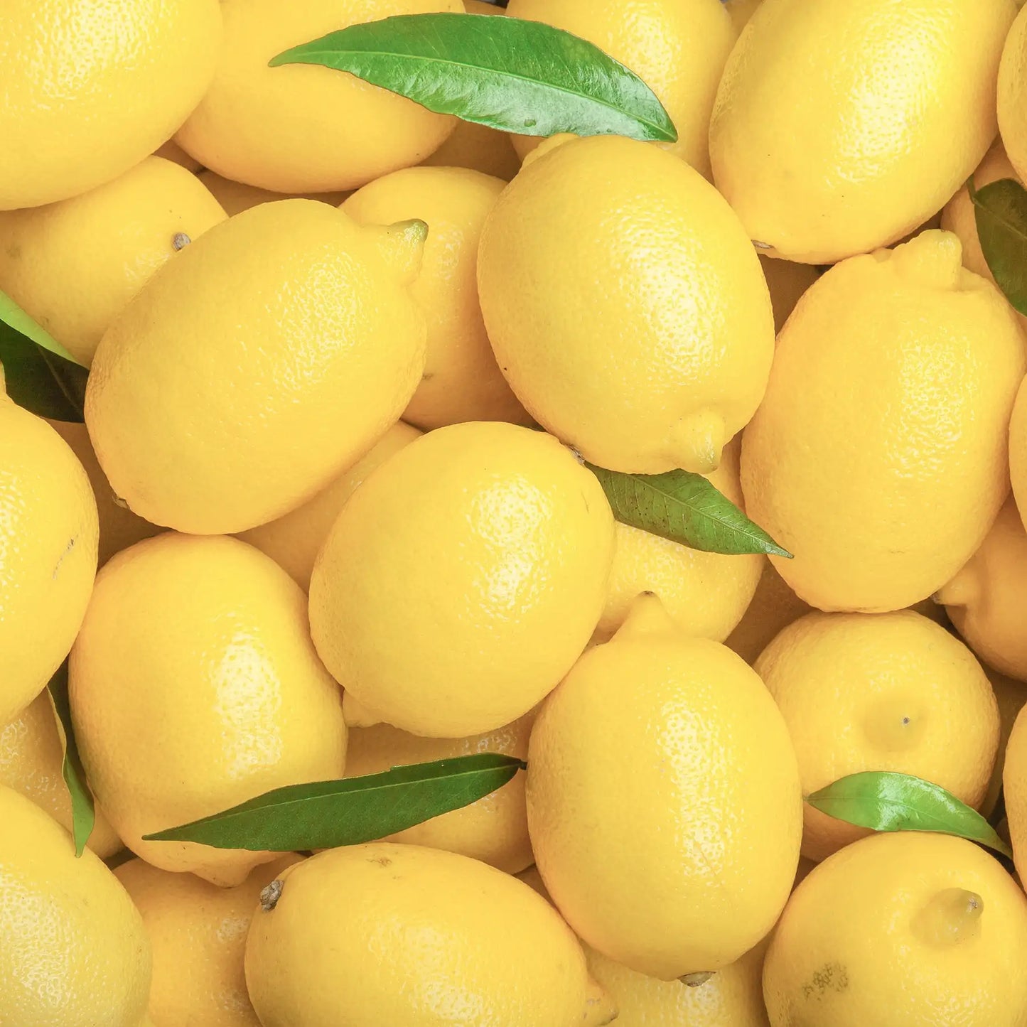 SOLIME' OLIO ESSENZIALE PURO DI LIMONE 10ML