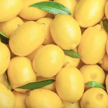 SOLIME' OLIO ESSENZIALE PURO DI LIMONE 10ML