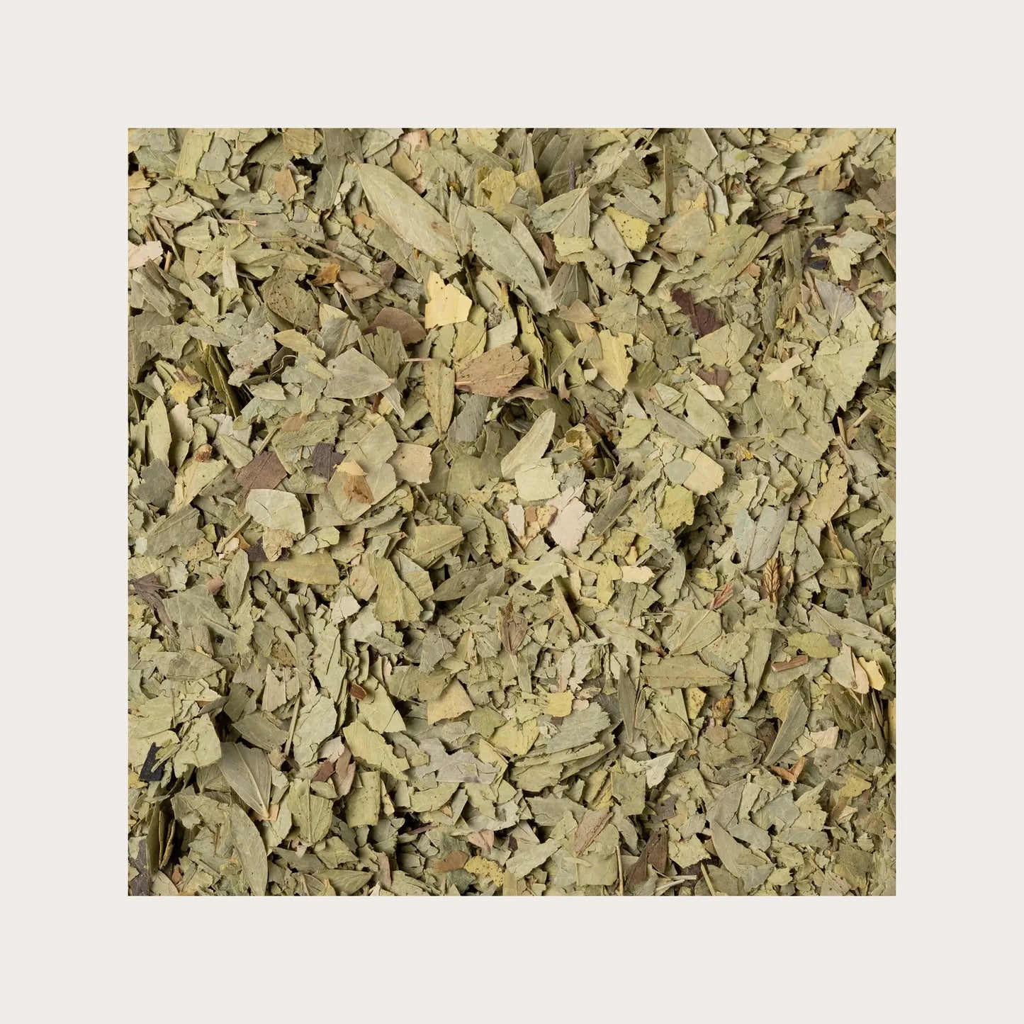 SOLIME' TISANA SENNA FOGLIE SFUSE 100G